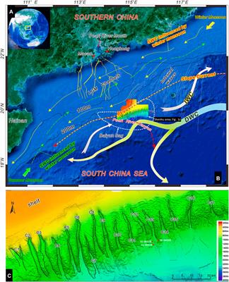 Elemental and Isotopic Signatures of Bulk Sedimentary Organic Matter in Shenhu Area, Northern South China Sea